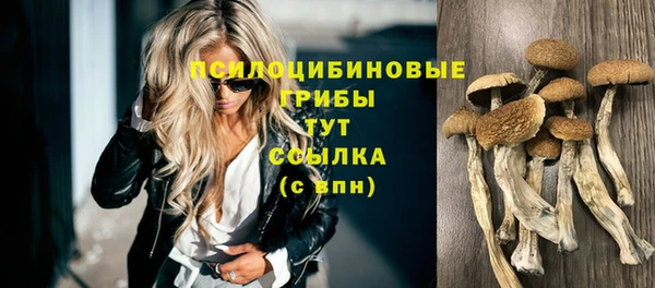 дурь Липки