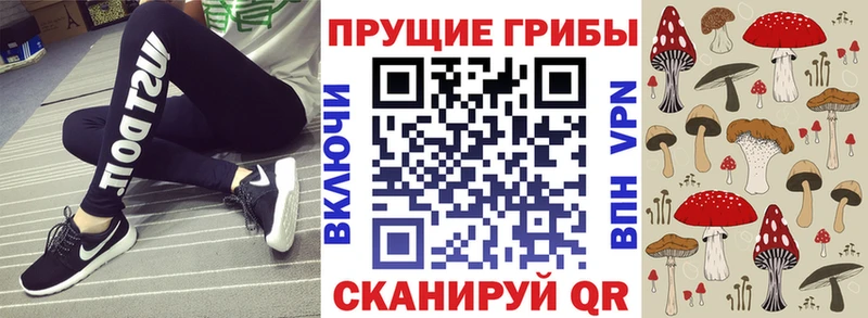 Галлюциногенные грибы Psilocybe Лесозаводск